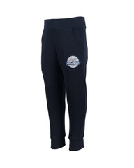 Спортивные штаны для мальчика, темно-синие цена и информация | Штаны для мальчиков | 220.lv