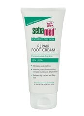 Ķermeņa krēms Sebamed, 100 ml цена и информация | Кремы, лосьоны для тела | 220.lv