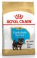 Royal Canin Yorkshire Terrier Junior 1,5 kg cena un informācija | Sausā barība suņiem | 220.lv