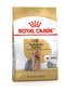 Royal Canin Yorkshire Terrier Adult, 1,5 kg cena un informācija | Sausā barība suņiem | 220.lv