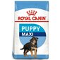 Royal Canin Maxi Junior suņiem, 15 kg цена и информация | Sausā barība suņiem | 220.lv