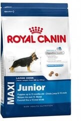 Royal Canin Maxi Junior для собак, 15 кг цена и информация | Сухой корм для собак | 220.lv