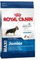 Royal Canin Maxi Junior suņiem, 15 kg cena un informācija | Sausā barība suņiem | 220.lv