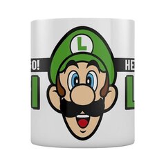 Pyramid International Nintendo Super Mario Here We Go Luigi cena un informācija | Datorspēļu suvenīri | 220.lv