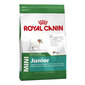 Royal Canin Mini Junior 8 kg цена и информация | Sausā barība suņiem | 220.lv