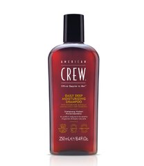 Mitrinošs matu šampūns American Crew Daily Deep, 250 ml cena un informācija | Šampūni | 220.lv