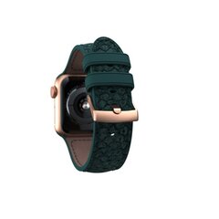 Ремешок для часов Njord Jörð для Apple Watch 40/41 мм, темно-зеленый цена и информация | Аксессуары для смарт-часов и браслетов | 220.lv