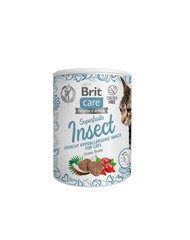 Brit Care Cat Snack SuperFruits Insect лакомства для кошек 100г цена и информация | Лакомства для кошек | 220.lv