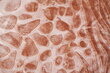 Pleds-gultas pārklājs Kakao krāsa, 200x240 cm цена и информация | Gultas pārklāji, pledi | 220.lv