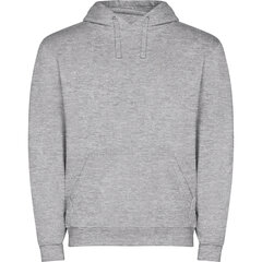 Hoodie Džemperis ar kapuci CAPUCHA PELĒKS цена и информация | Мужские свитера | 220.lv