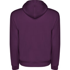 Hoodie Džemperis ar kapuci CAPUCHA VIOLETS цена и информация | Мужские свитера | 220.lv