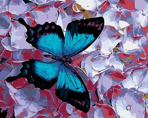 Kартины по цифрам "Синяя бабочка 1" 40x50 F58G цена и информация | Живопись по номерам | 220.lv