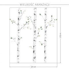 Наклейка на стену береза цена и информация | Декоративные наклейки | 220.lv