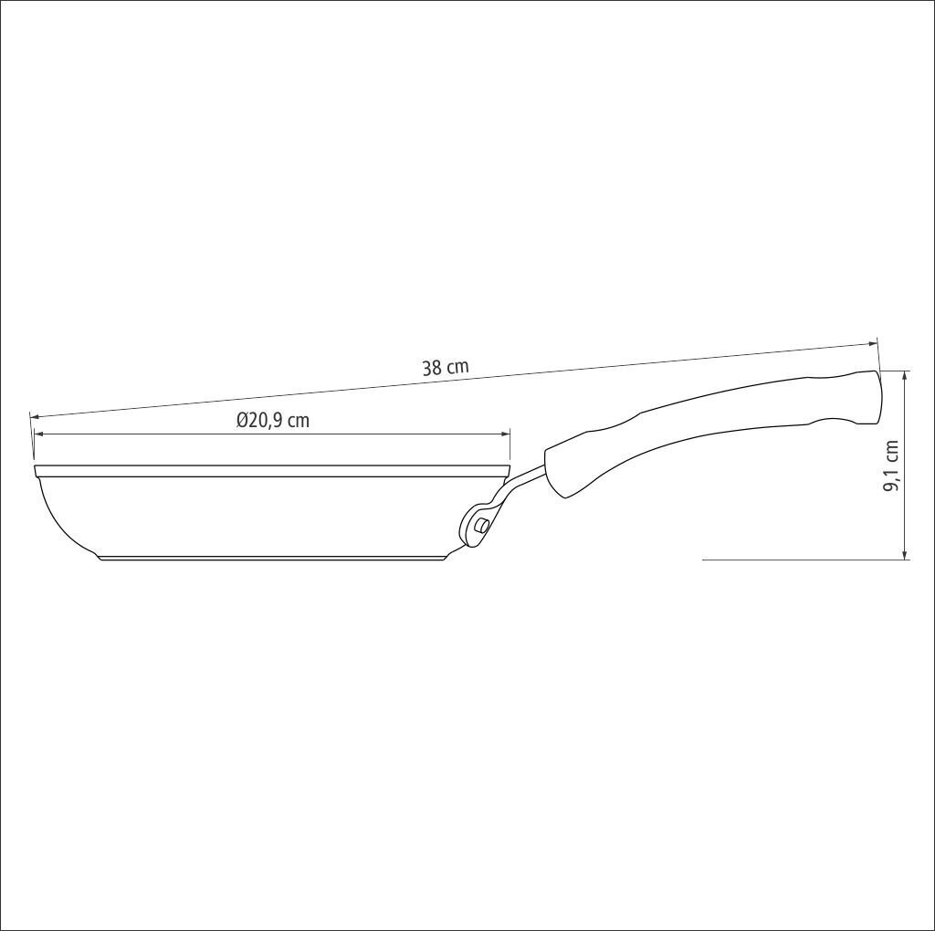 Tramontina MONACO INDUCTION panna, ø20 cm цена и информация | Pannas | 220.lv