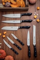 Tramontina PROCHEF santoku nazis 7" цена и информация | Ножи и аксессуары для них | 220.lv