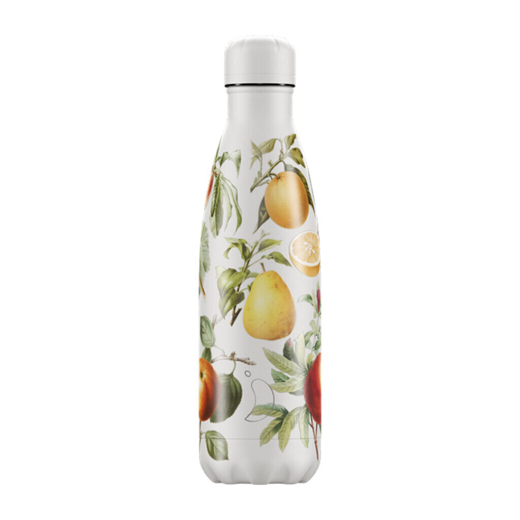 Termoss pudele Chilly's Bottle Botanical Fruit 500ml цена и информация | Termosi, termokrūzes | 220.lv