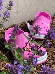 Apavi bērniem Crocs™ Kids' Crocband Clog, Taffy Pink cena un informācija | Crocs Bērnu apavi | 220.lv