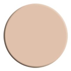 Kонсилер Wycon Cosmetics liquid concealer 101 beige цена и информация | Пудры, базы под макияж | 220.lv