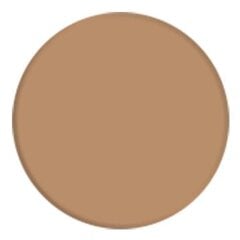 Korektors Wycon Cosmetics LIQUID CONCEALER 105 BISCUIT cena un informācija | Grima bāzes, tonālie krēmi, pūderi | 220.lv