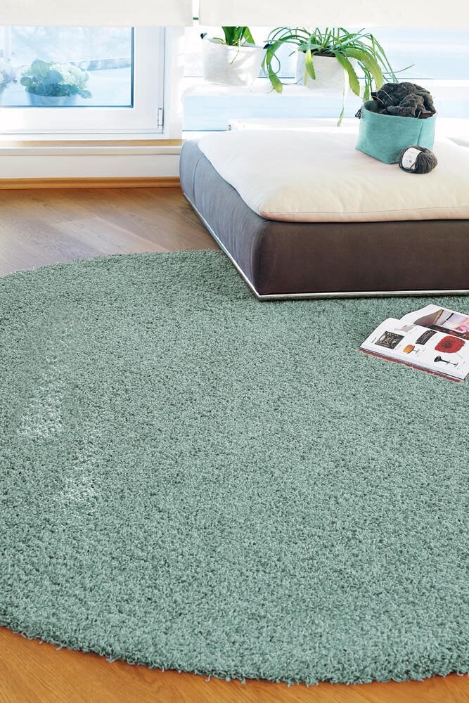 Narma bārkšu paklājs SPICE, mētras zaļā krāsā - dažādi izmēri, Narma narmasvaip Spice, mündiroheline, 133 x 200 cm cena un informācija | Paklāji | 220.lv