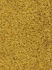 Ковер Narma Spice, желтый, 200 x 300 см. цена и информация | Ковры | 220.lv