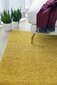 Narma bārkšu paklājs SPICE, dzeltenā krāsā - dažādi izmēri, Narma narmasvaip Spice, kollane, 300 x 400 cm cena un informācija | Paklāji | 220.lv