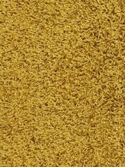 Ковер Narma Spice, желтый, 300 x 400 см. цена и информация | Ковры | 220.lv