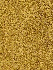Narma bārkšu paklājs SPICE, dzeltenā krāsā - dažādi izmēri, Narma narmasvaip Spice, kollane, 80 x 160 cm cena un informācija | Paklāji | 220.lv