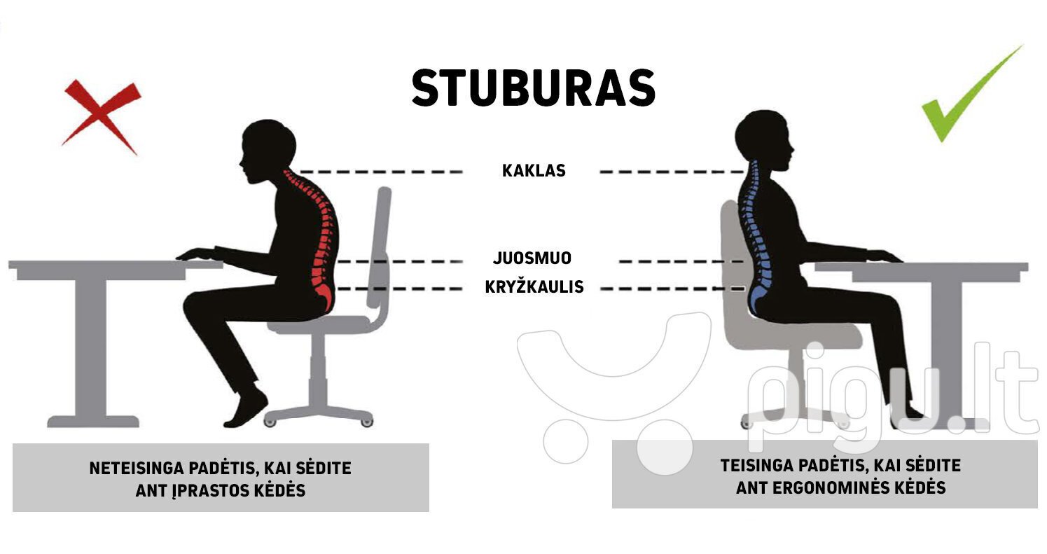 Ergonomisks bērnu krēsls Entelo Good Chair Petit VS03 3, pelēks/melns cena un informācija | Biroja krēsli | 220.lv