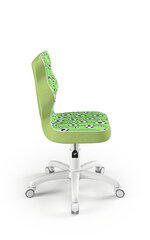 Ergonomisks bērnu krēsls Entelo Good Chair Petit ST29 3, zaļš/balts цена и информация | Офисные кресла | 220.lv