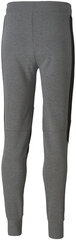 Puma Брюки Bmw Mms Sweat Pants Grey 598002 03 598002 03/M цена и информация | Мужская спортивная одежда | 220.lv