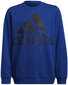 Adidas Džemperi Logo Sweat Blue HF1824 HF1824/152 цена и информация | Zēnu jakas, džemperi, žaketes, vestes | 220.lv