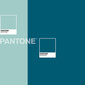 Segas Pārvalks Bez Pildījuma Pantone: Parametri - Gultas izmērs 135 (210 x 270 cm) cena un informācija | Gultas veļas komplekti | 220.lv