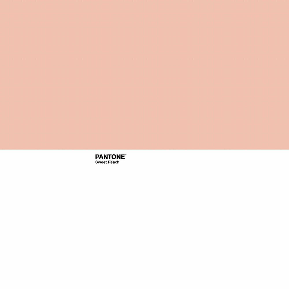 Ziemeļu pārvalks Pantone Sweet Peach (Gulta 150) cena un informācija | Gultas veļas komplekti | 220.lv