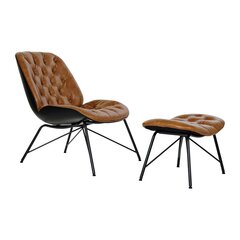 Krēsls DKD Home Decor, 2 gab. цена и информация | Кресла в гостиную | 220.lv