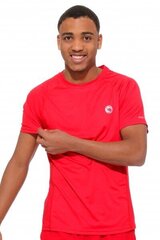Sporta T-krekls vīriešiem Stark Soul 1934R, sarkans cena un informācija | Sporta apģērbs vīriešiem | 220.lv