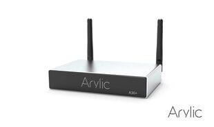 Arylic A30+  цена и информация | Аудиоколонки | 220.lv