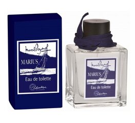 Tualetes ūdens Lothantique Marius EDT vīriešiem, 100 ml cena un informācija | Vīriešu smaržas | 220.lv