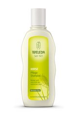 Weleda Millet Nourishing šampūns 190 ml. cena un informācija | Šampūni | 220.lv