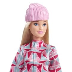 Кукла Барби сноубордистка, HCN32 цена и информация | Игрушки для девочек | 220.lv
