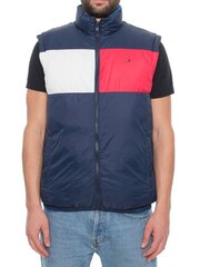 Куртка мужская Tommy Jeans 8719702164904, синяя цена и информация | Мужские жилетки | 220.lv