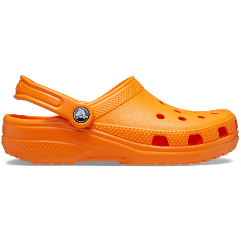 Sieviešu čības, Crocs™ Classic 164931 цена и информация | Iešļūcenes, čības sievietēm | 220.lv