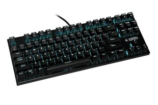 KEYBOARD I-BOX AURORA K-2R RGB, MECHANICAL, GAMING цена и информация | Клавиатуры | 220.lv