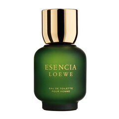 Vīriešu smaržas (EDT), Esencia Loewe, tilpums - 100 ml cena un informācija | Vīriešu smaržas | 220.lv