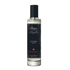 Мужская парфюмерия Alvarez Gomez Platino Homme EDP (30 мл) цена и информация | Мужские духи | 220.lv