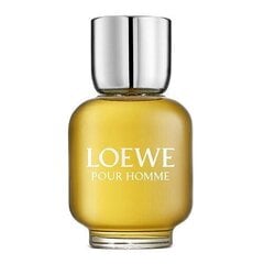 Мужская парфюмерия Loewe Loewe Pour Homme (150 мл) EDT цена и информация | Мужские духи | 220.lv