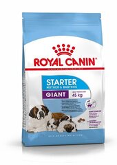 Royal Canin barība suņiem Giant Starter Mother & Babydog Universal, 15 kg cena un informācija | Sausā barība suņiem | 220.lv