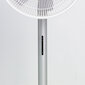 Staande ventilator SPC Standing FAN 3 25W цена и информация | Ventilatori | 220.lv