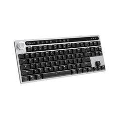 Wireless mechanical keyboard Delux KS200D (Grey) цена и информация | Клавиатуры | 220.lv