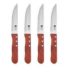 Ножи Bergner BBQ (4 шт) цена и информация | Ножи и аксессуары для них | 220.lv